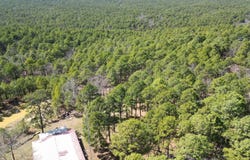 185117 West Sherman Road, Moyers, OK 74523