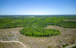 Tract 1 Scuffletown, Bristol, GA 31518