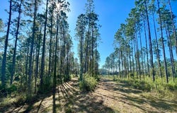 Tract 60 150th St, Chiefland, FL 32626