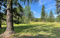 nhn Whitepine Creek Road, Trout Creek, MT 59874