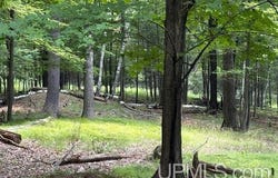 TBD E H, Iron Mountain, MI 49801