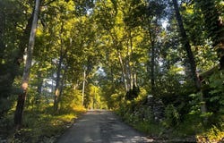 29 Hammerhead Trail, Wurtsboro, NY 12790