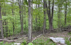Rt 41 Mill St., Mill Creek, WV 26280