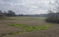 Pine Grove Road, Walnut Grove, MS 39189