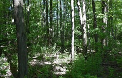3210-072-6 BLOOMING VALLEY Road, Meadville, PA 16335