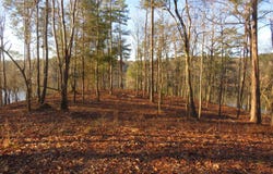 ROCK RIDGE LANE lot: #4, Arley, AL 35541