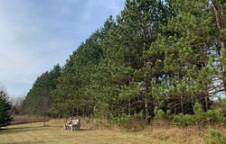 894 US 141, Crystal Falls, MI 49920