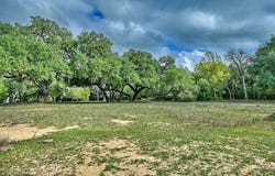 505 North Live Oak Street, Round Top, TX 78954