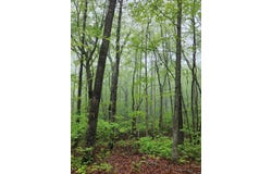 200 Salolee Circle, South Pittsburg, TN 37380