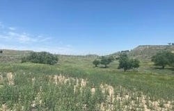 18800 Cool Creek Drive, Canyon, TX 79015
