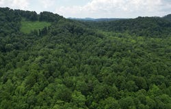912-369 Upper Raccoon Creek Rd, London, KY 40741
