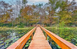 7959 Malone Dr, Donalsonville, GA 39845