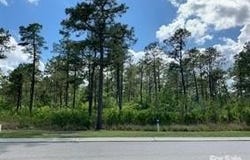 9604 Fallen Pear Lane NE, Leland, NC 28451