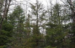 TBD Friday - Q.1 Road, Rapid River, MI 49878