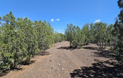 1259 Kb Ranch Road, Show Low, AZ 85901