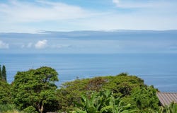 76-959 ALA MAKAA, Holualoa, HI 96725