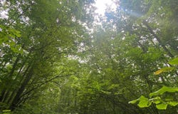 1.47 Acres Stonecrop Road, Wausau, WI 54401
