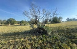 Smith Dr, Howardwick, TX 79226
