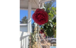 1913 N Yucca, Silver City, NM 88061