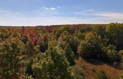 Shively Road, Fife Lake, MI 49633