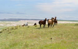 24900 Spring Draw Road, Senic, SD 57780