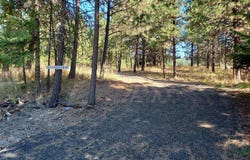 13534 S RIDGEVIEW Dr, Harrison, ID 83833