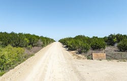 Tdb-tract 1 CR 421, Evant, TX 76525