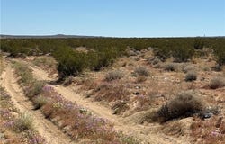0 Ca-247, Johnson Valley, CA 92285