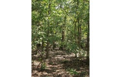 1215 Red Bird Lane, Horseshoe Bend, AR 72512