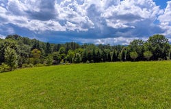 89 Sam Vanhook Ln, Franklin, NC 28734