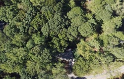 6220 Stewart Road, Buford, GA 30518