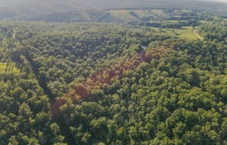 State Hwy Y, Willow Springs, MO 65793