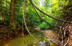 0 Deer Creek Rd, Raccoon, OH 45686