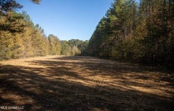 0 Vaughn Road, Vaughn, MS 39179