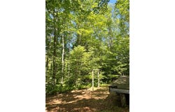 2865 Steam Mill Road, Masonville, NY 13804