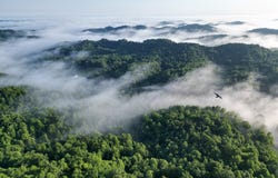 0 Upper Raccoon Creek RD, London, KY 40741