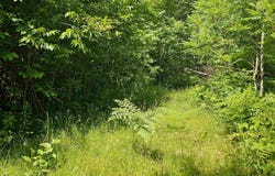 xxxx State Highway 13, Washburn, WI 54891