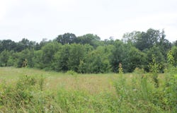 West Plains, MO 65775