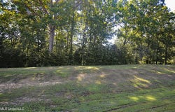 155 Oak Ridge Lakes Drive, Coldwater, MS 38618
