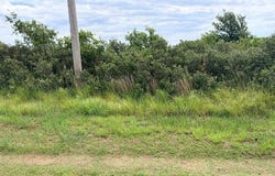 10328 N 1810 Rd, Cheyenne, OK 73628
