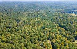0 Steed Road, Chattahoochee Hills, GA 30213