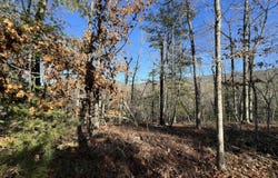 Lot 45 Black Diamond DR, New Castle, VA 24127
