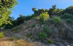 13388 Newcomb Dr, Sherman Oaks, CA 91423