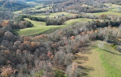 Cow Run, Cottageville, WV 25239