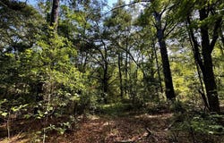NW Little Cat Road, Madison, FL 32340