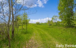 9 Mile Road, Reed City, MI 49677