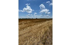 2000 County Road, Varna, IL 61375