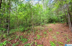 THORNTON LAKE ROAD lot: 1, DORA, AL 35062