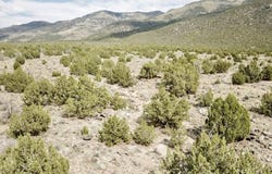10 Acres, Montello, NV 89830