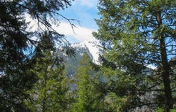 Tram Ln, WallowaLake, OR 97846